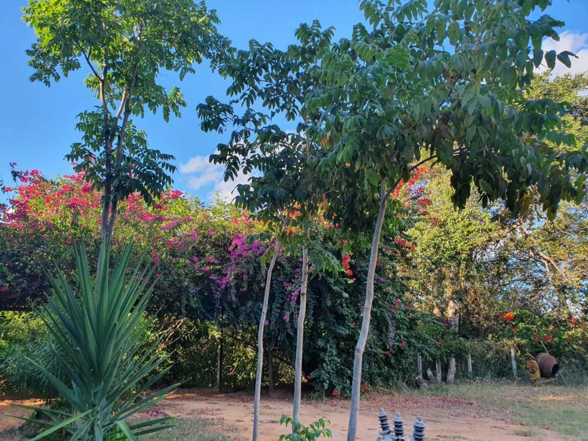 Pousada Do Rio Corrente Alvorada do Norte Екстериор снимка